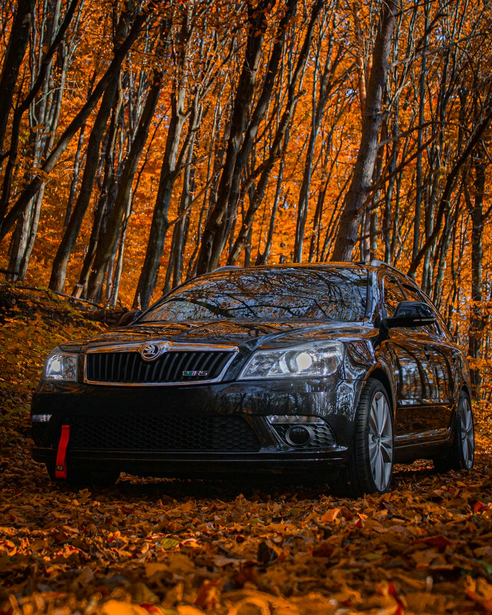 a car parked in front of a grove of trees