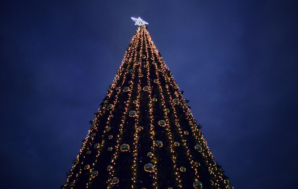 a very tall christmas tree with a star on top