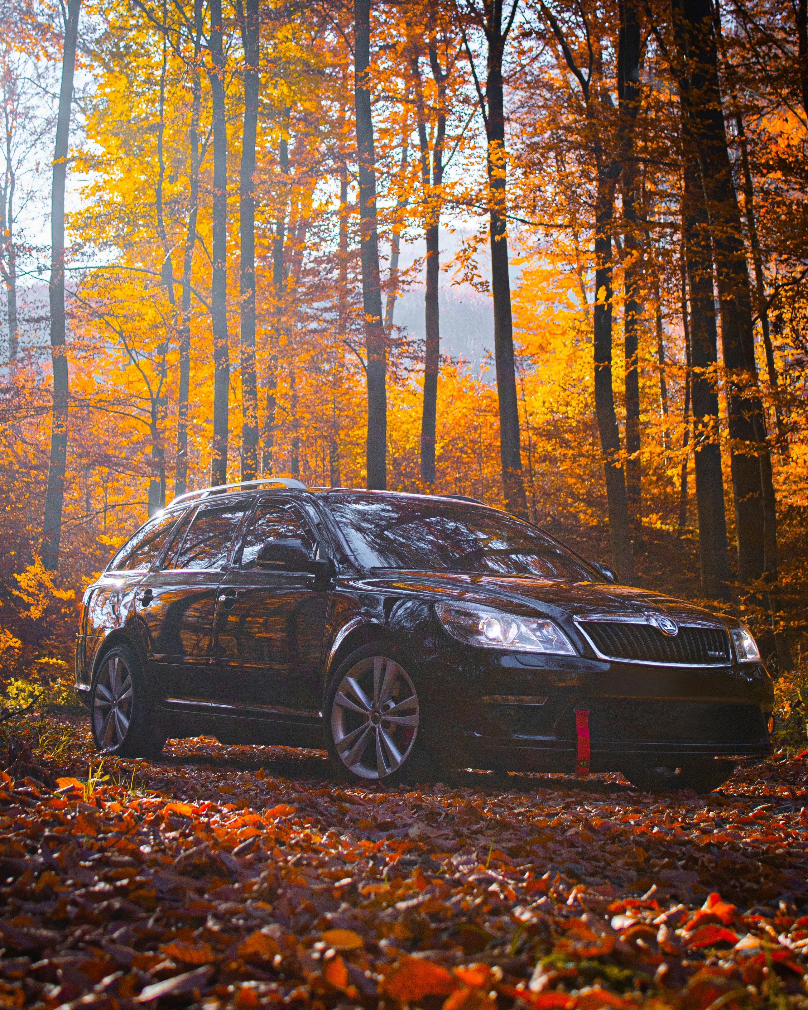 The Cars That Became Unexpected Bargains This Year