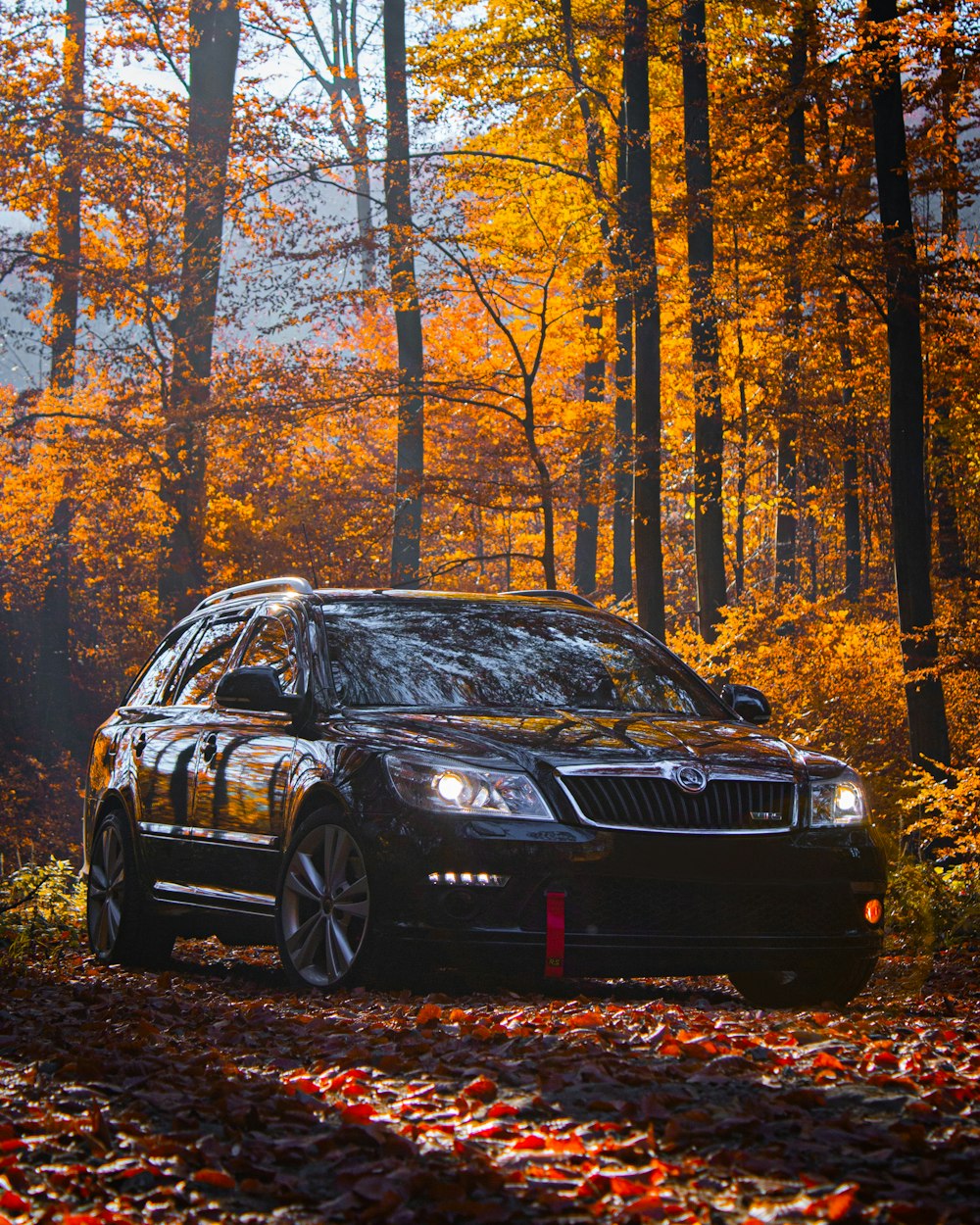 a black car parked in the middle of a forest