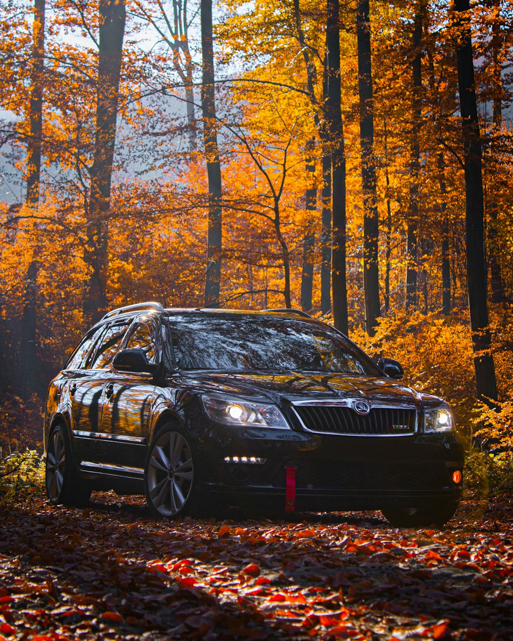 Une voiture noire garée au milieu d’une forêt
