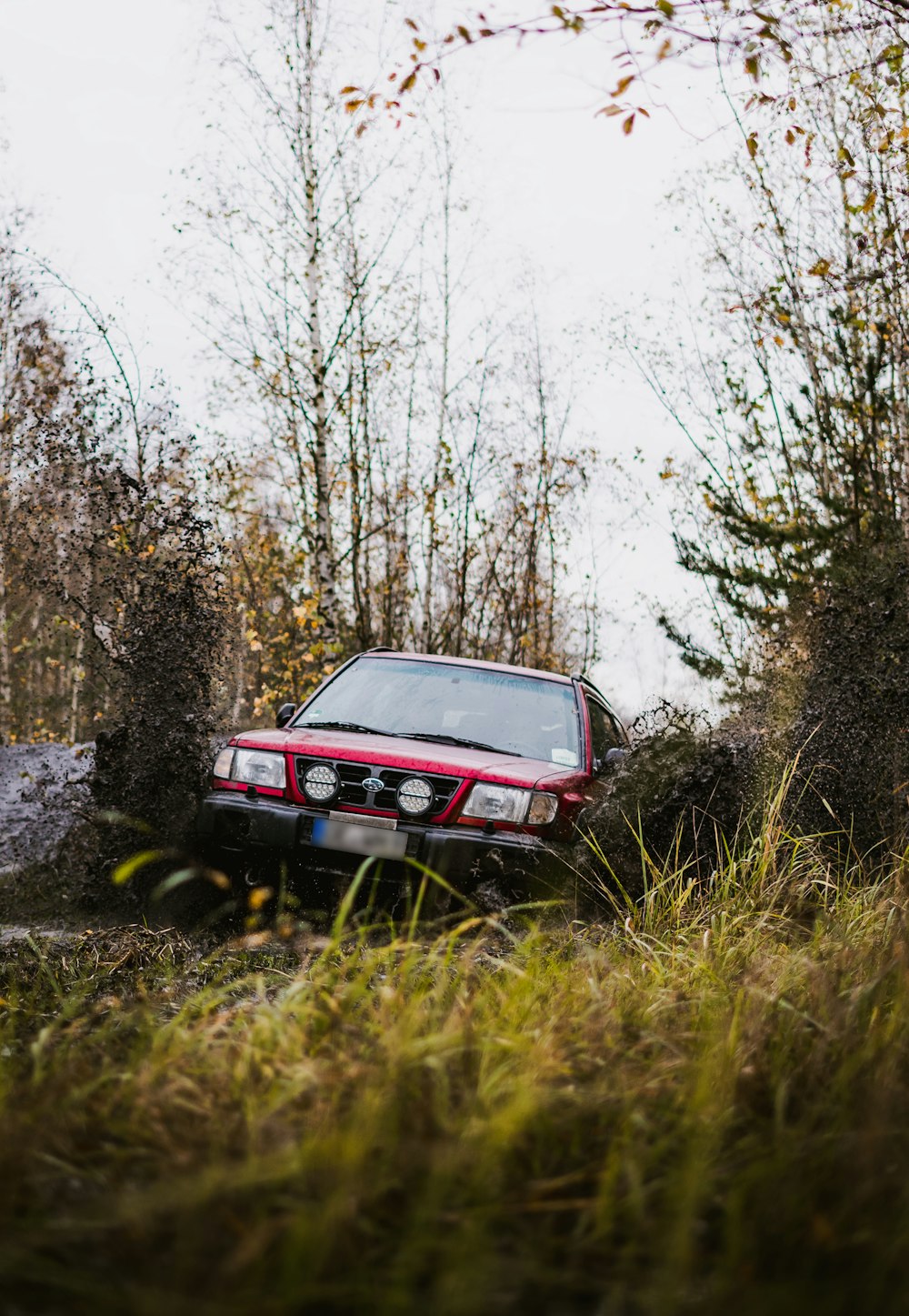 a red truck driving through a forest filled with trees