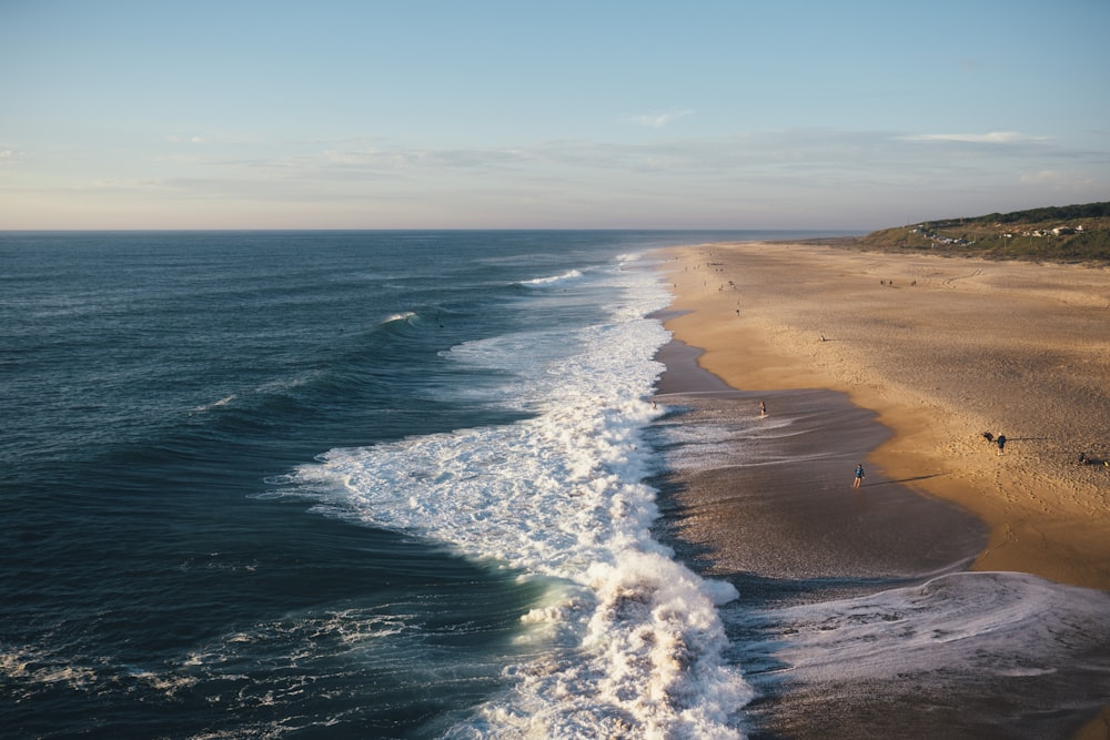 an aerial view of a beach and ocean