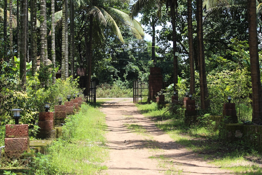 a dirt road surrounded by trees and bushes