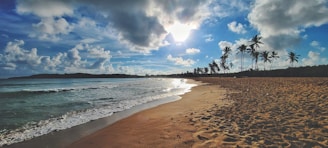 Sunlit beachfront land ready for development with ocean waves.