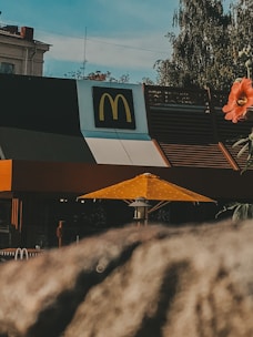 A fast-food restaurant's exterior with a prominent logo featuring a yellow letter M. There is a large yellow umbrella in the seating area outside, and a vibrant orange flower is partially visible in the foreground. Trees and part of a building are in the background.