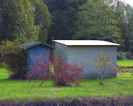 A small blue wooden shed stands adjacent to a larger, light gray corrugated metal structure. These buildings are surrounded by lush greenery, including trees and bushes, with a vibrant red bush in the foreground. The ground is covered in bright green grass, and the scene is set against a backdrop of dense forest with varying shades of green foliage.