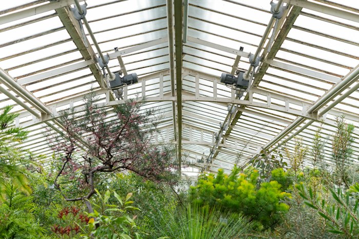 Botanical Specimen Management System