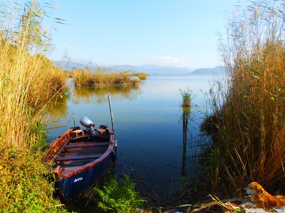 a small boat sitting on top of a lake next to tall grass