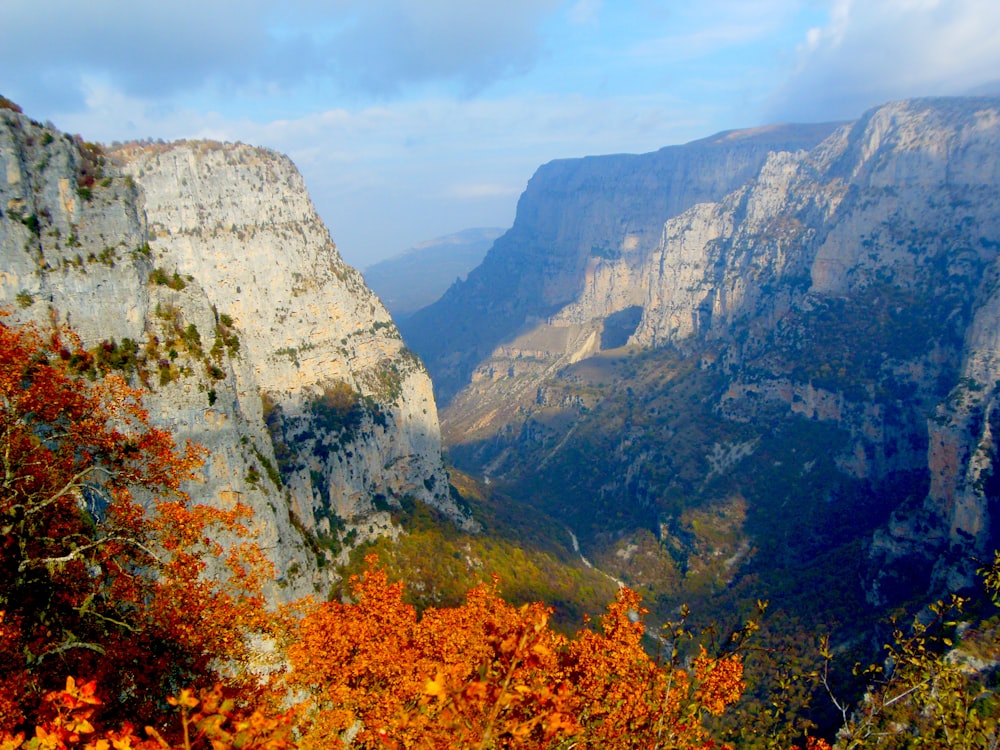 a view of a valley with mountains in the background