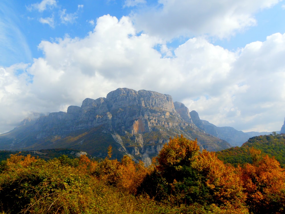 a view of a mountain range with trees in the foreground