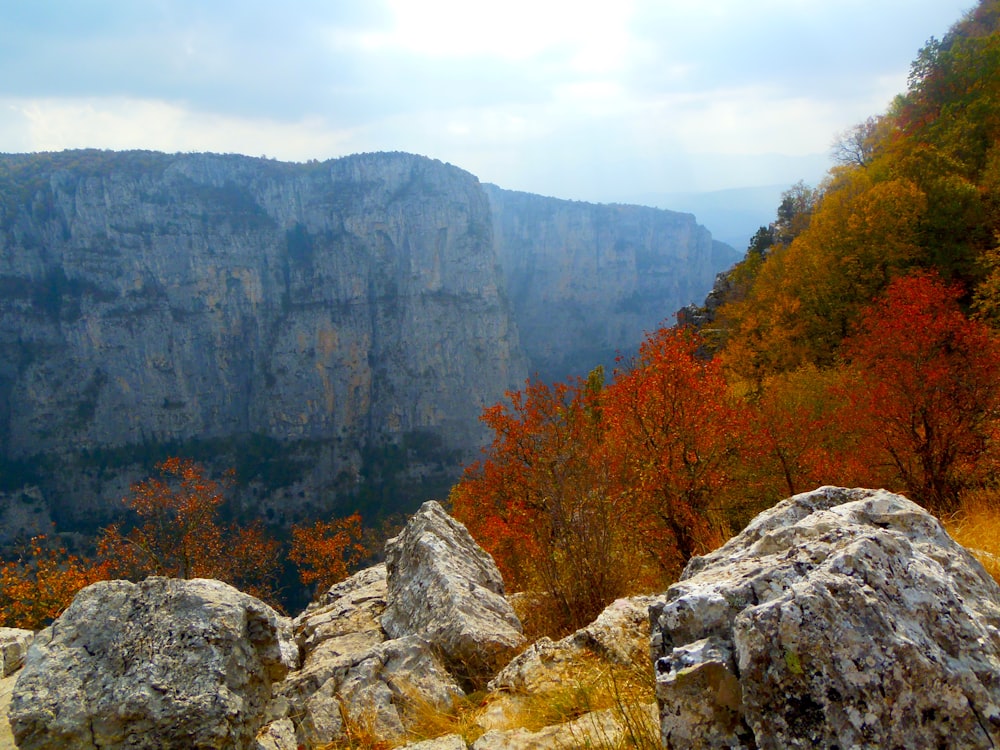 a view of a mountain range with rocks and trees in the foreground