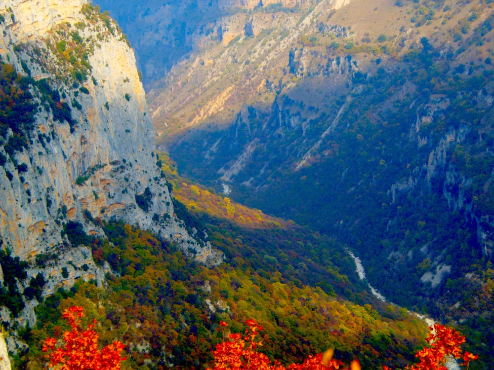 una vista panoramica di una valle attraversata da un fiume