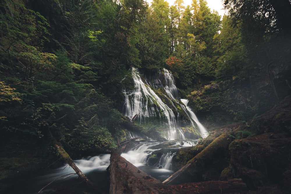 a waterfall in a forest