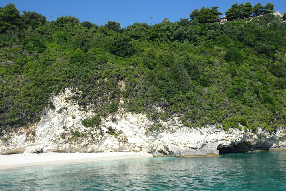 a sandy beach next to a lush green hillside