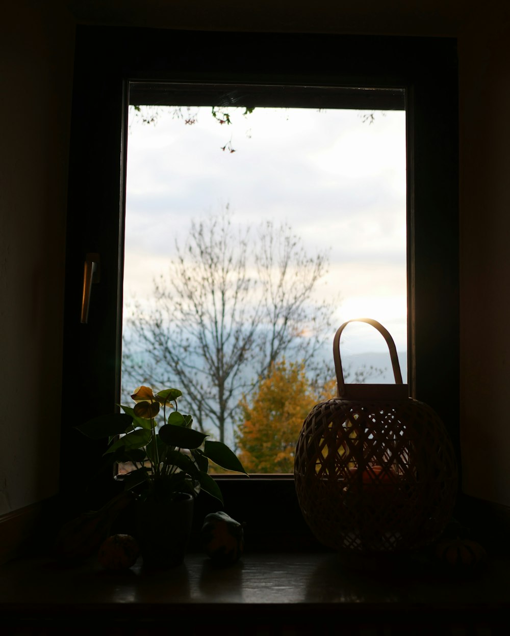a basket sitting on a window sill next to a potted plant