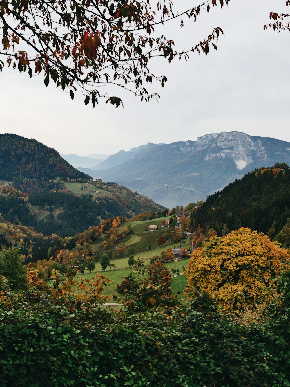 a scenic view of a valley with mountains in the background