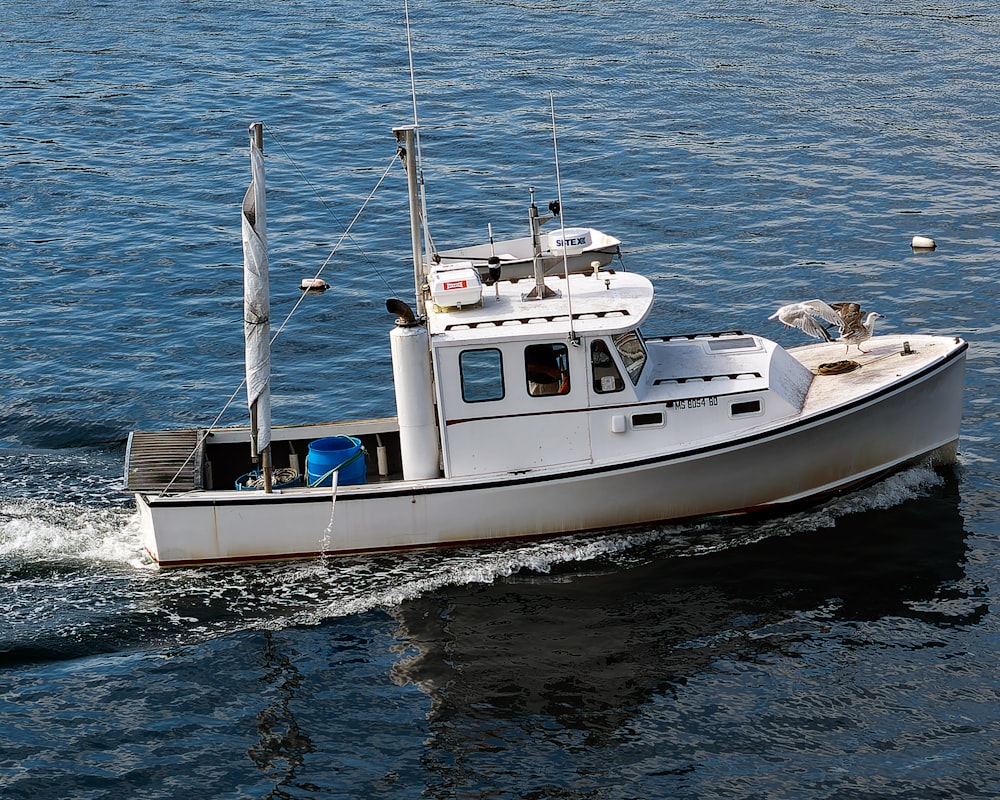 a small white boat in a body of water