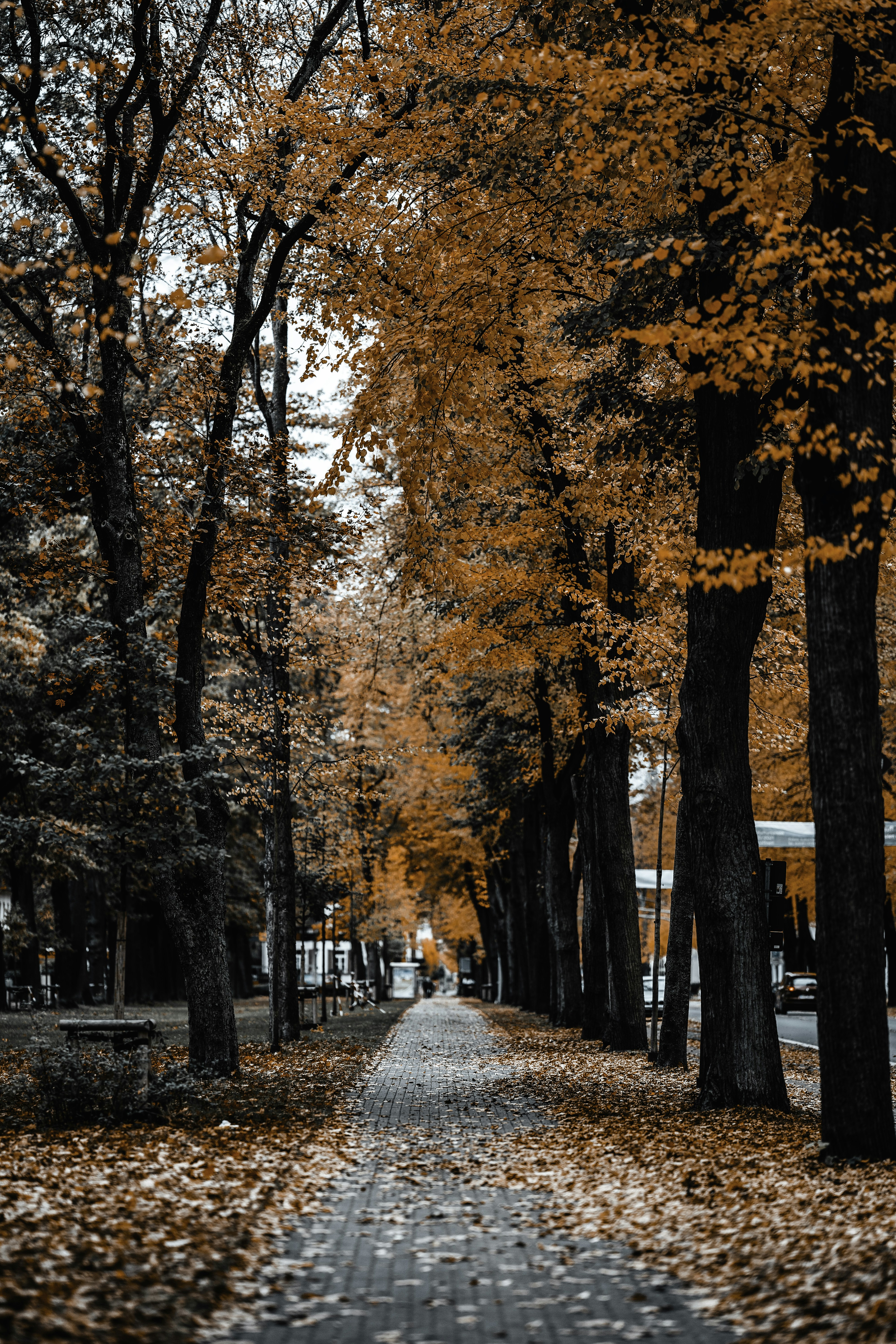 Photo by omarvellous14