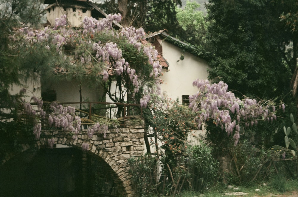 a stone bridge with purple flowers growing over it