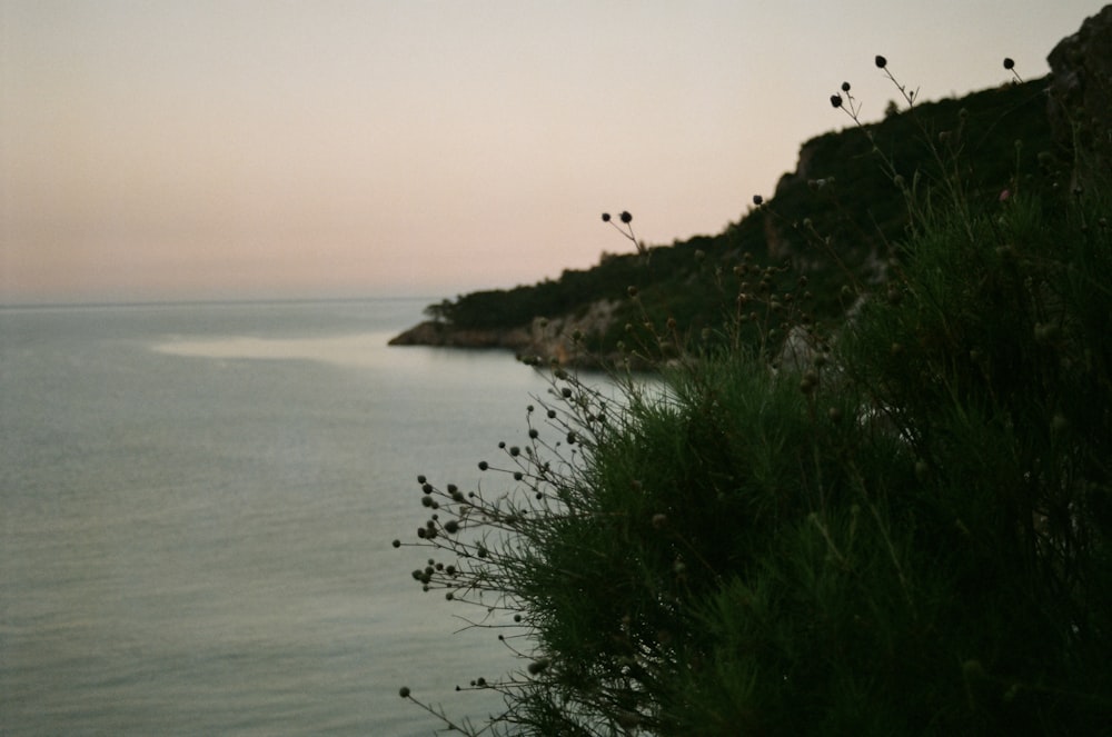 a view of a body of water from a cliff