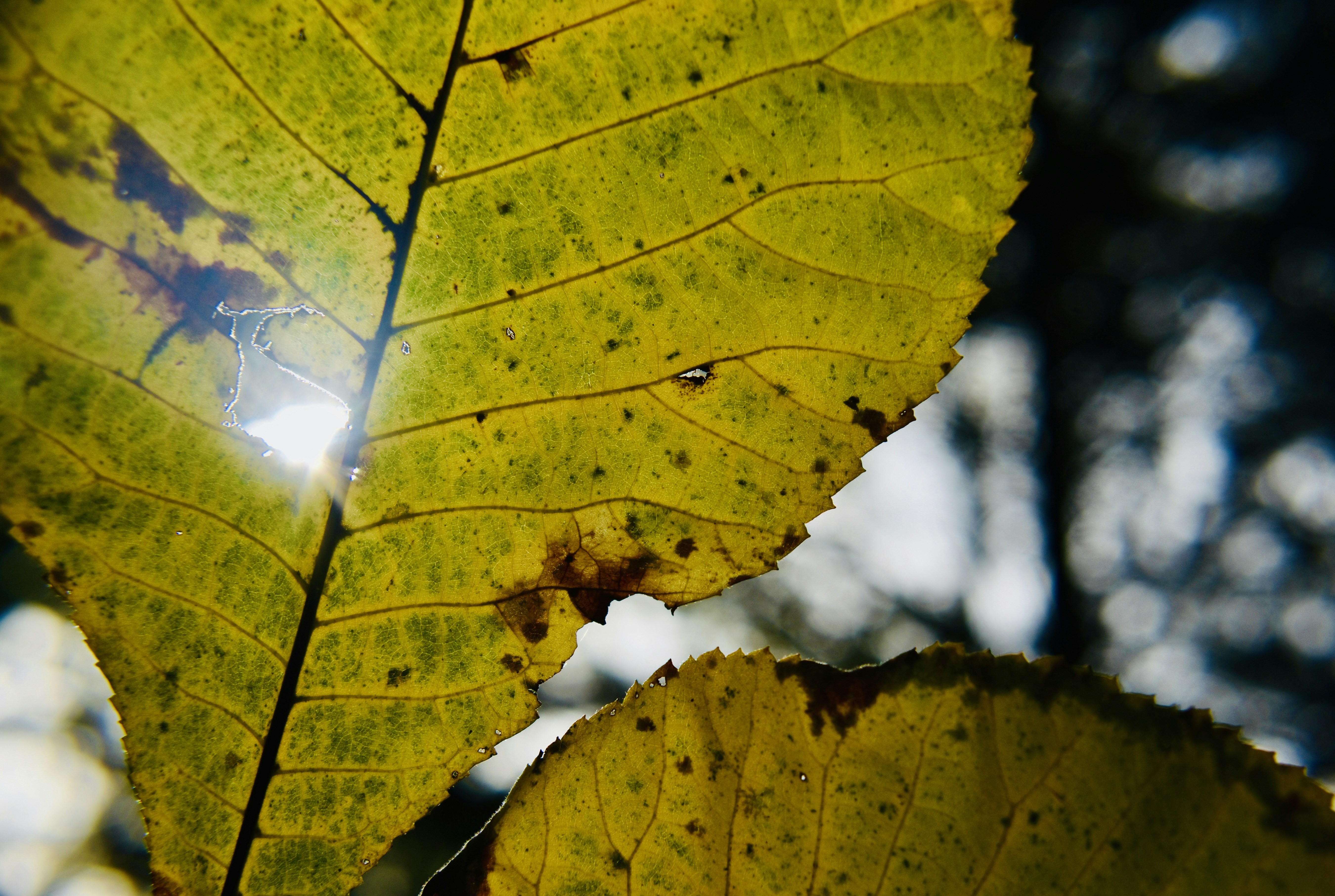 Photo by sophiakunkel