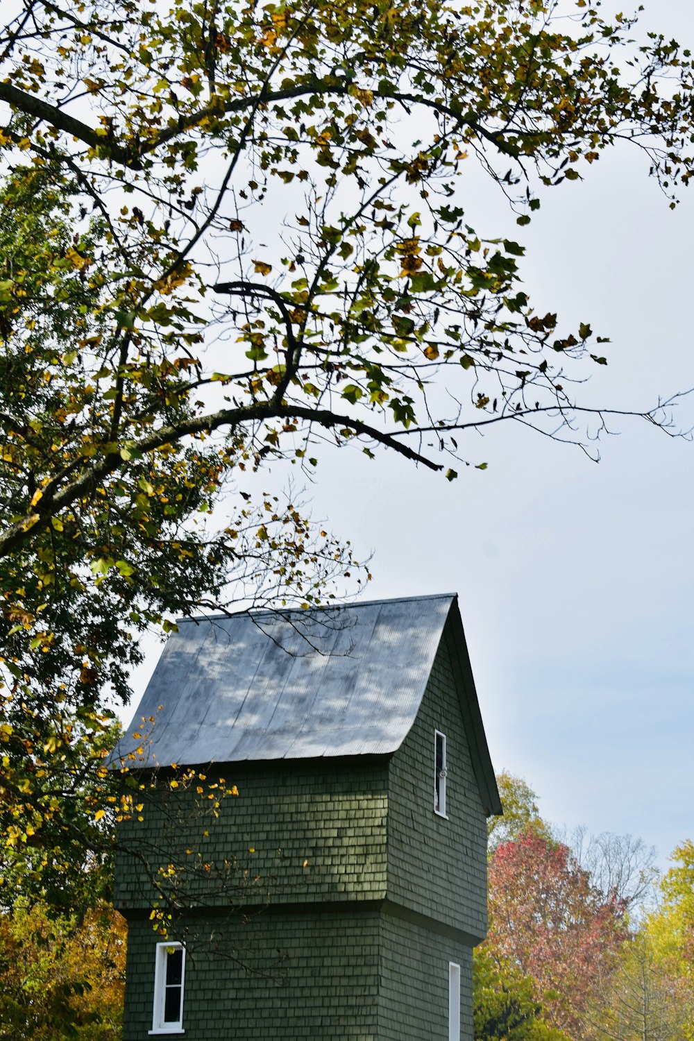 a small green house with a black roof