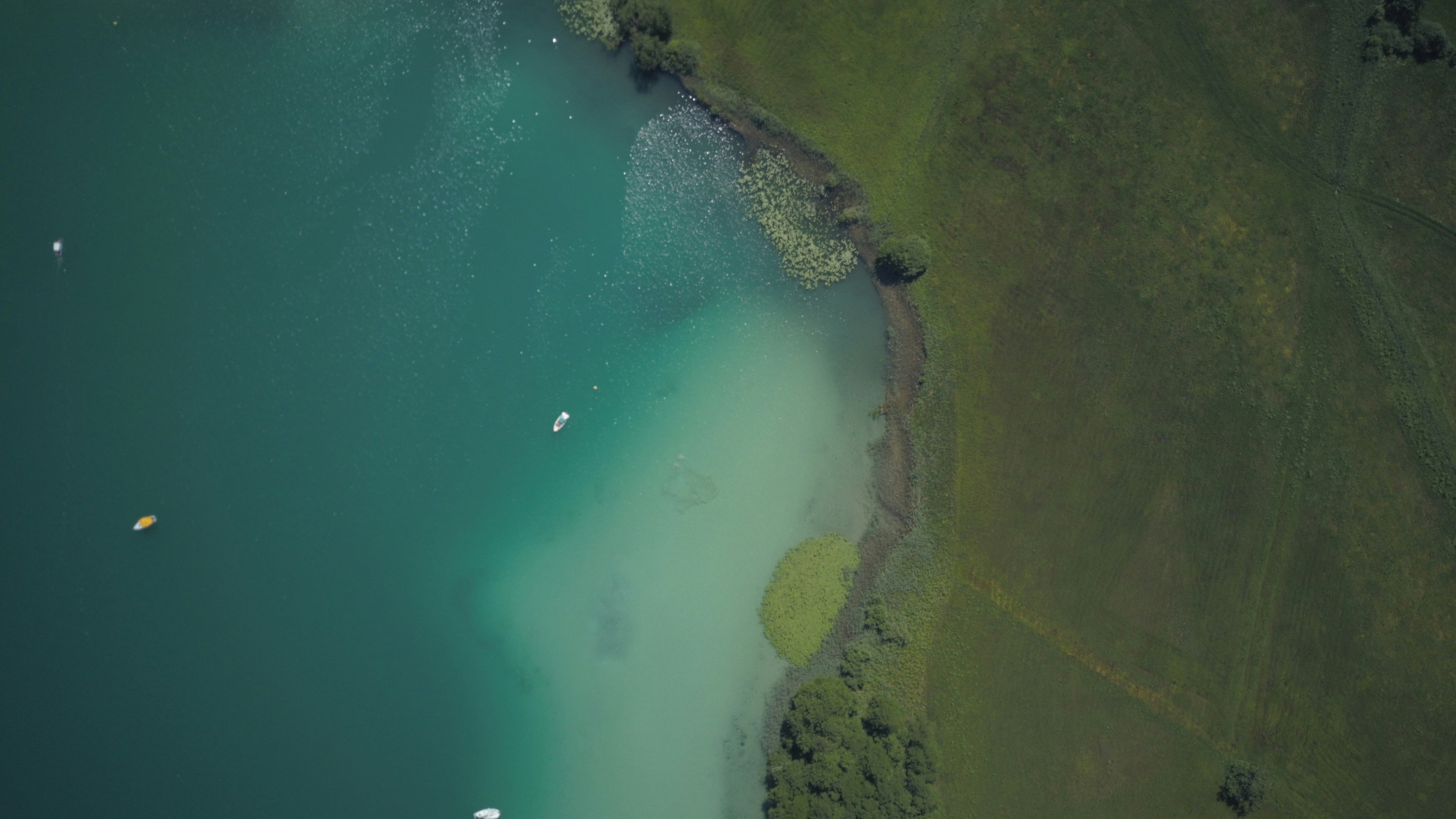 Photo by tom_heinrich