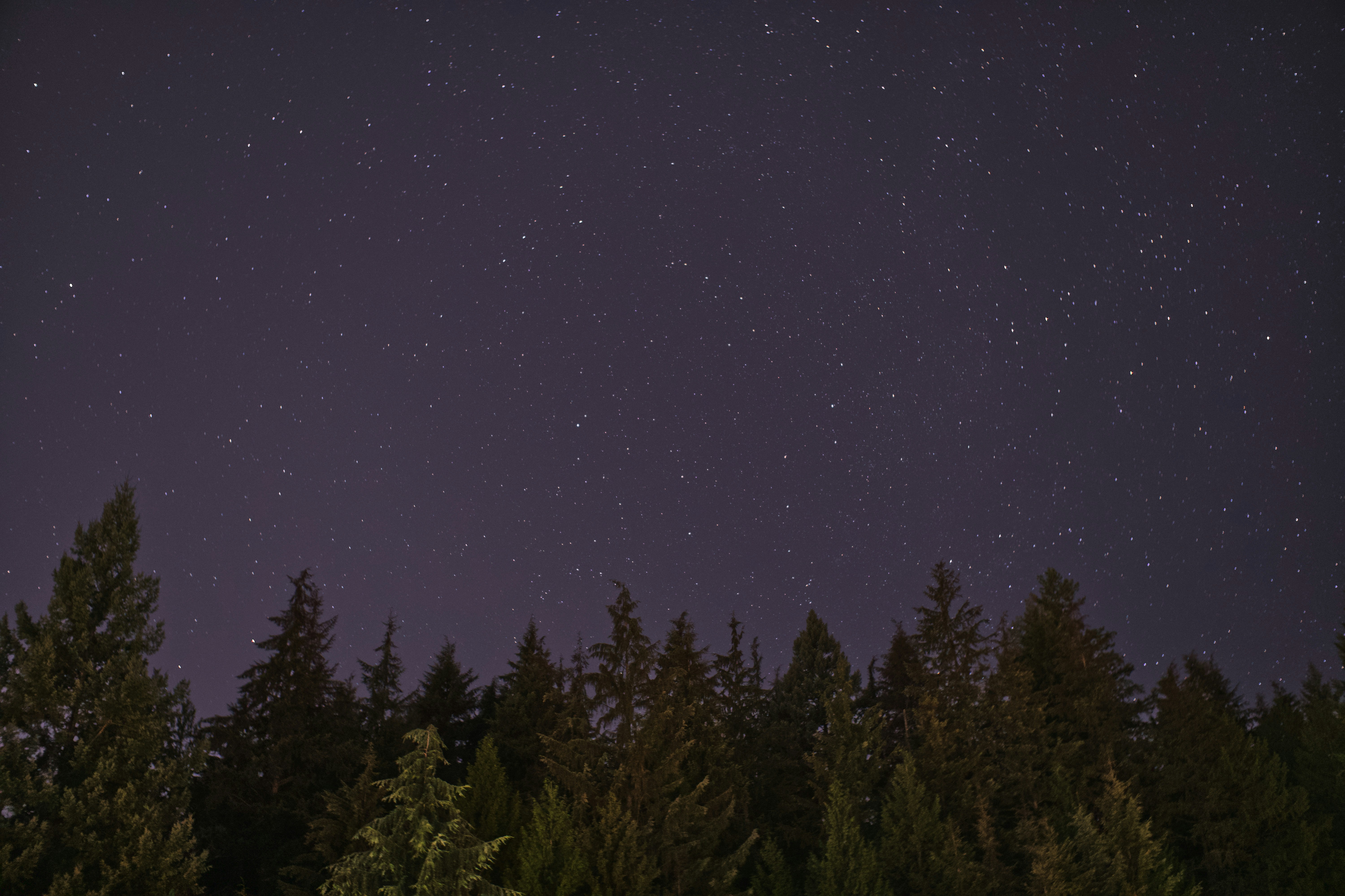 Stars on a clear night sky