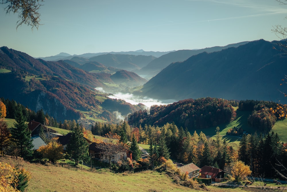 a scenic view of a valley in the mountains