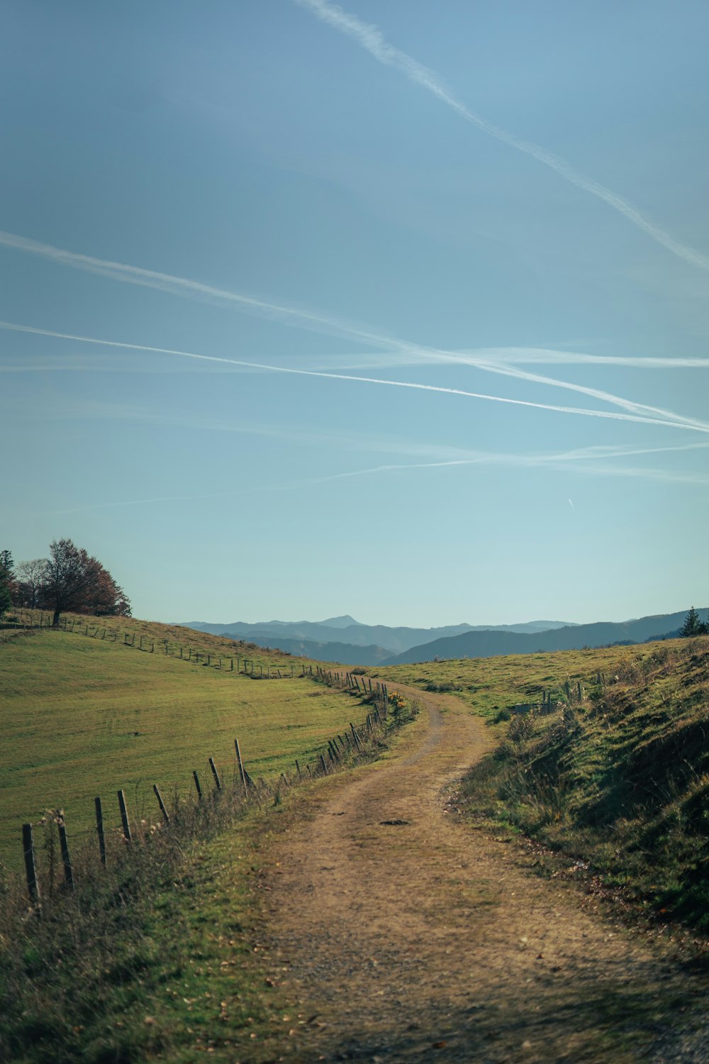 a dirt road going through a lush green field