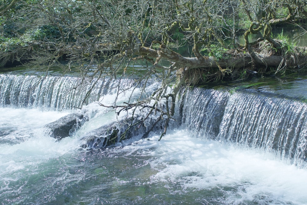 a small waterfall with a fallen tree in the middle of it