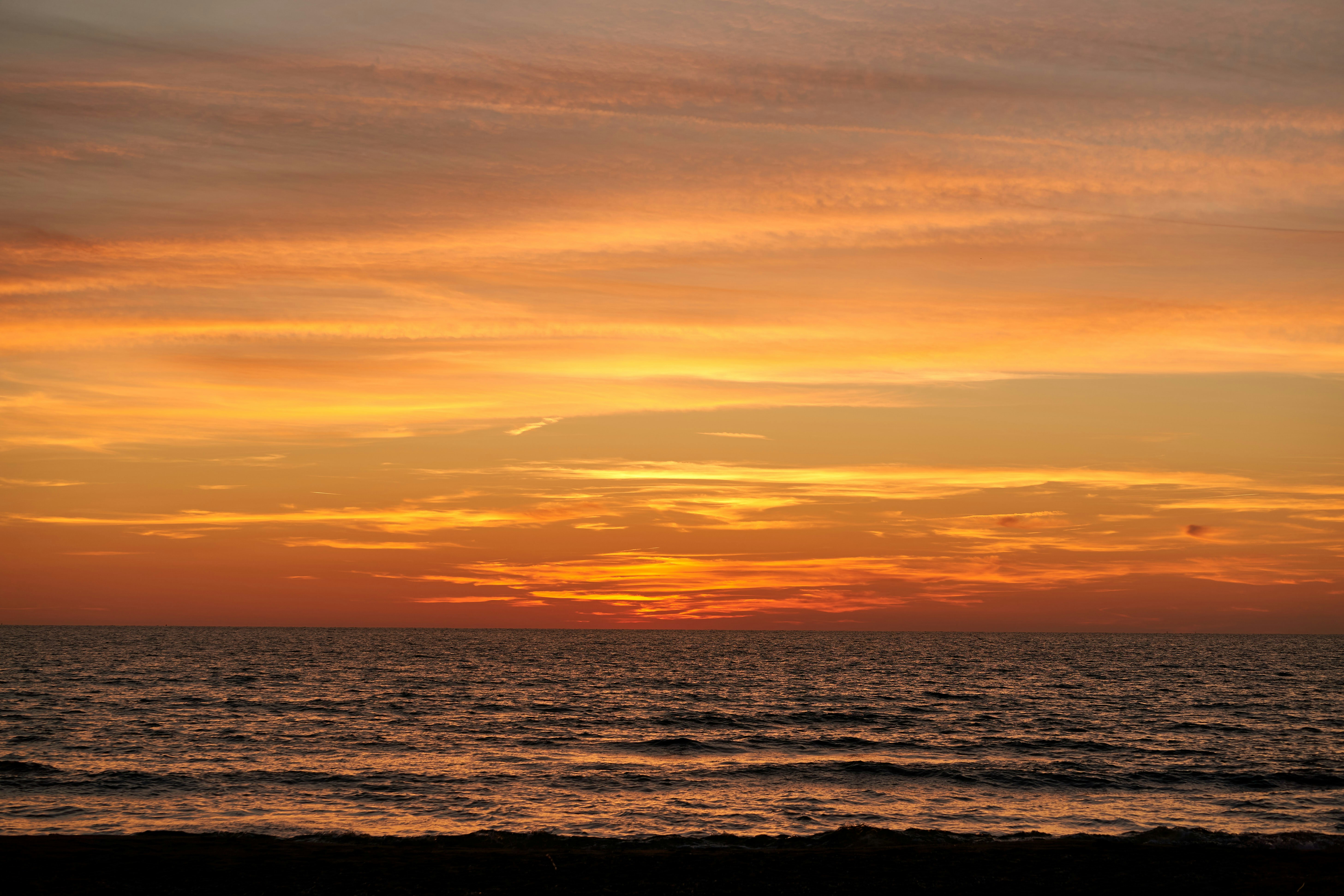 Photo by wolfgang_hasselmann