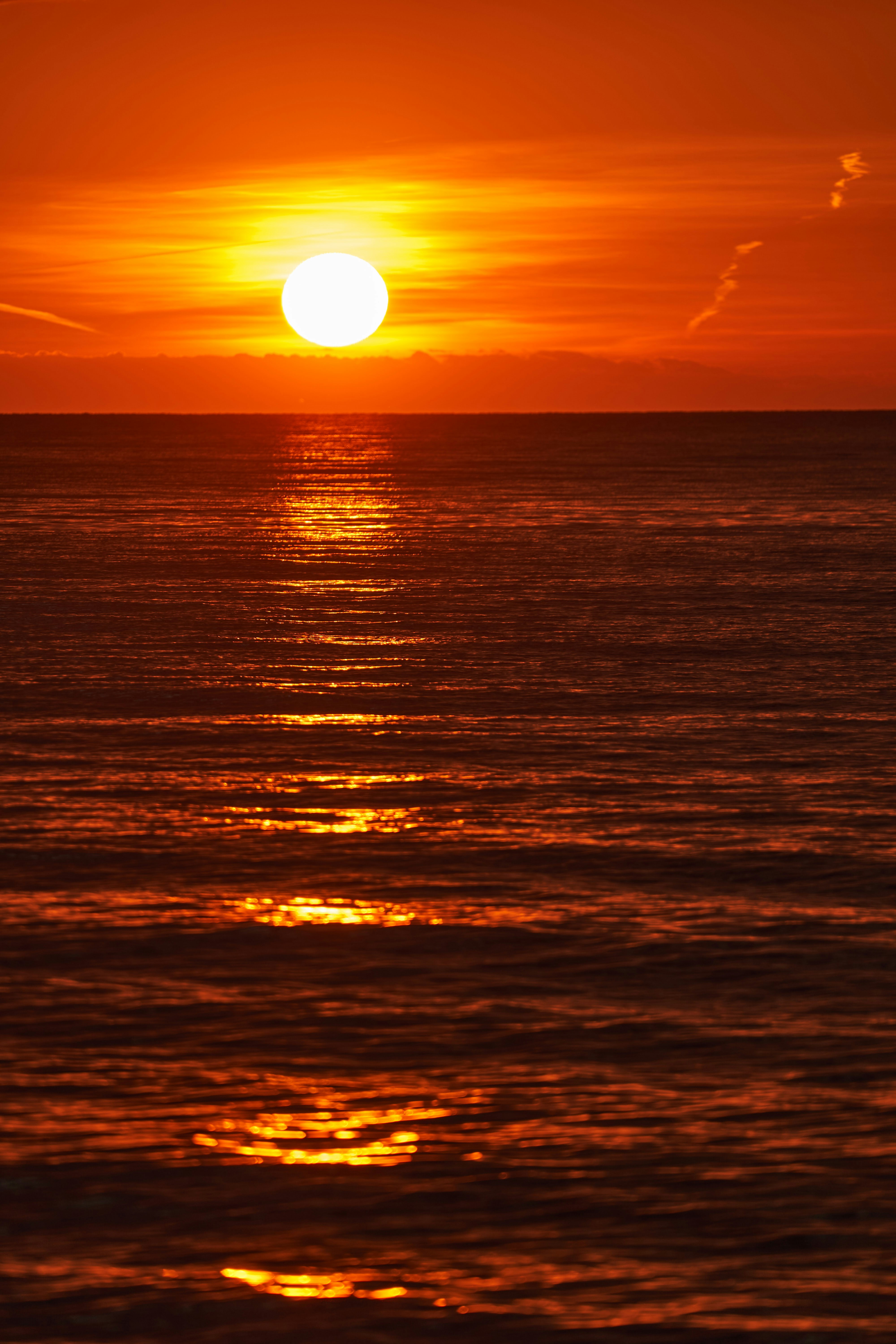 Photo by wolfgang_hasselmann