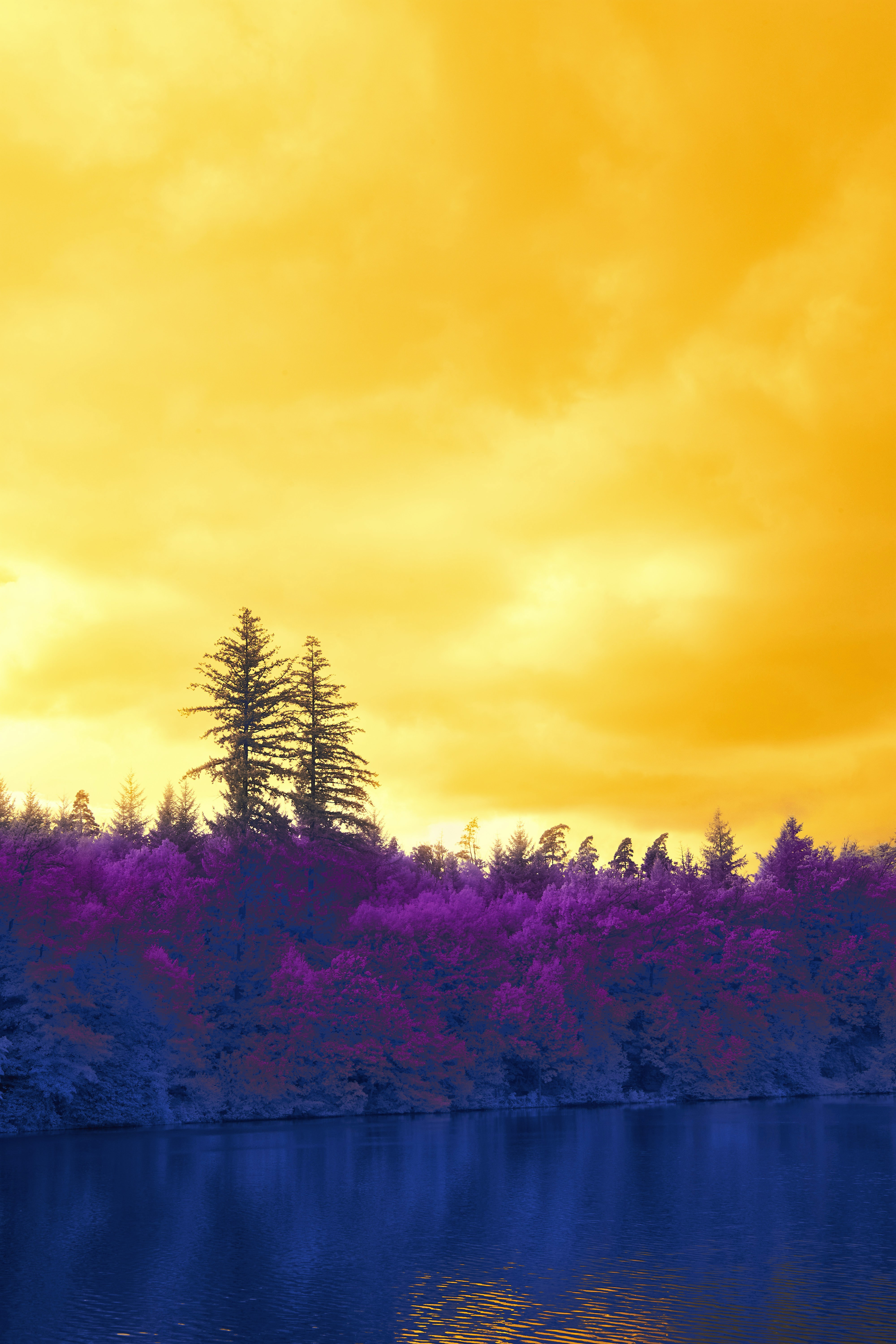 Photo by wolfgang_hasselmann