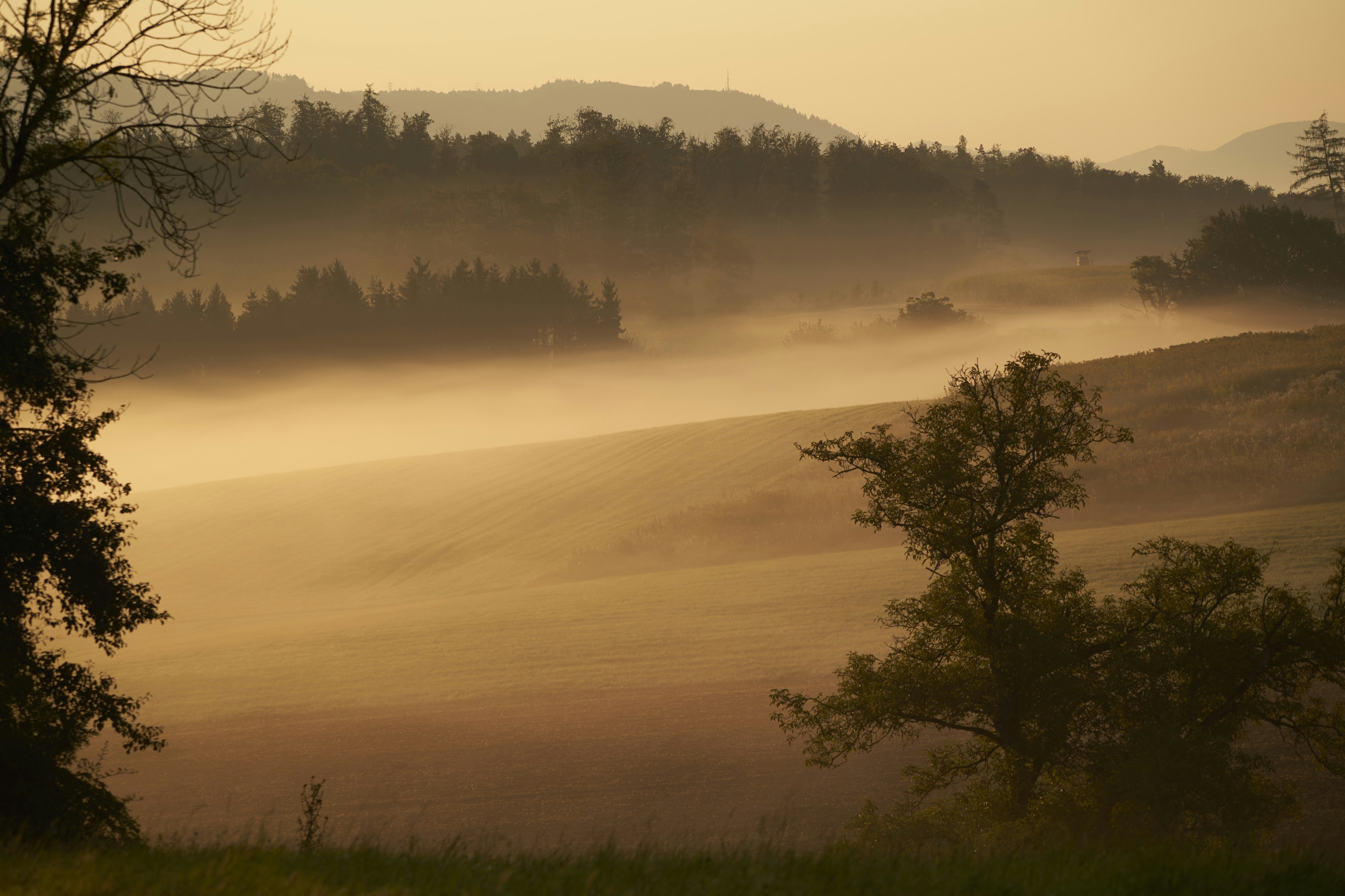 Photo by wolfgang_hasselmann