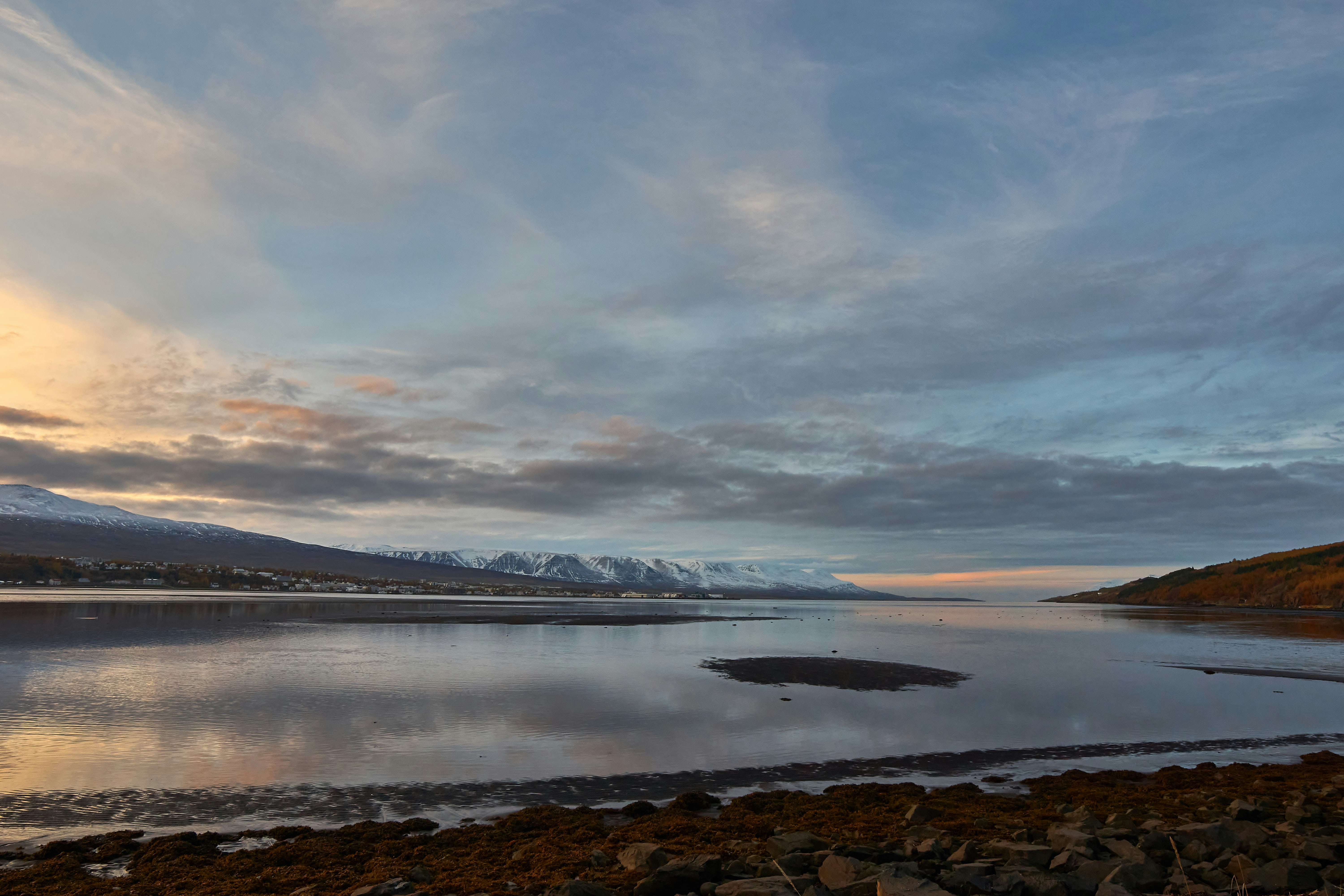 Photo by wolfgang_hasselmann