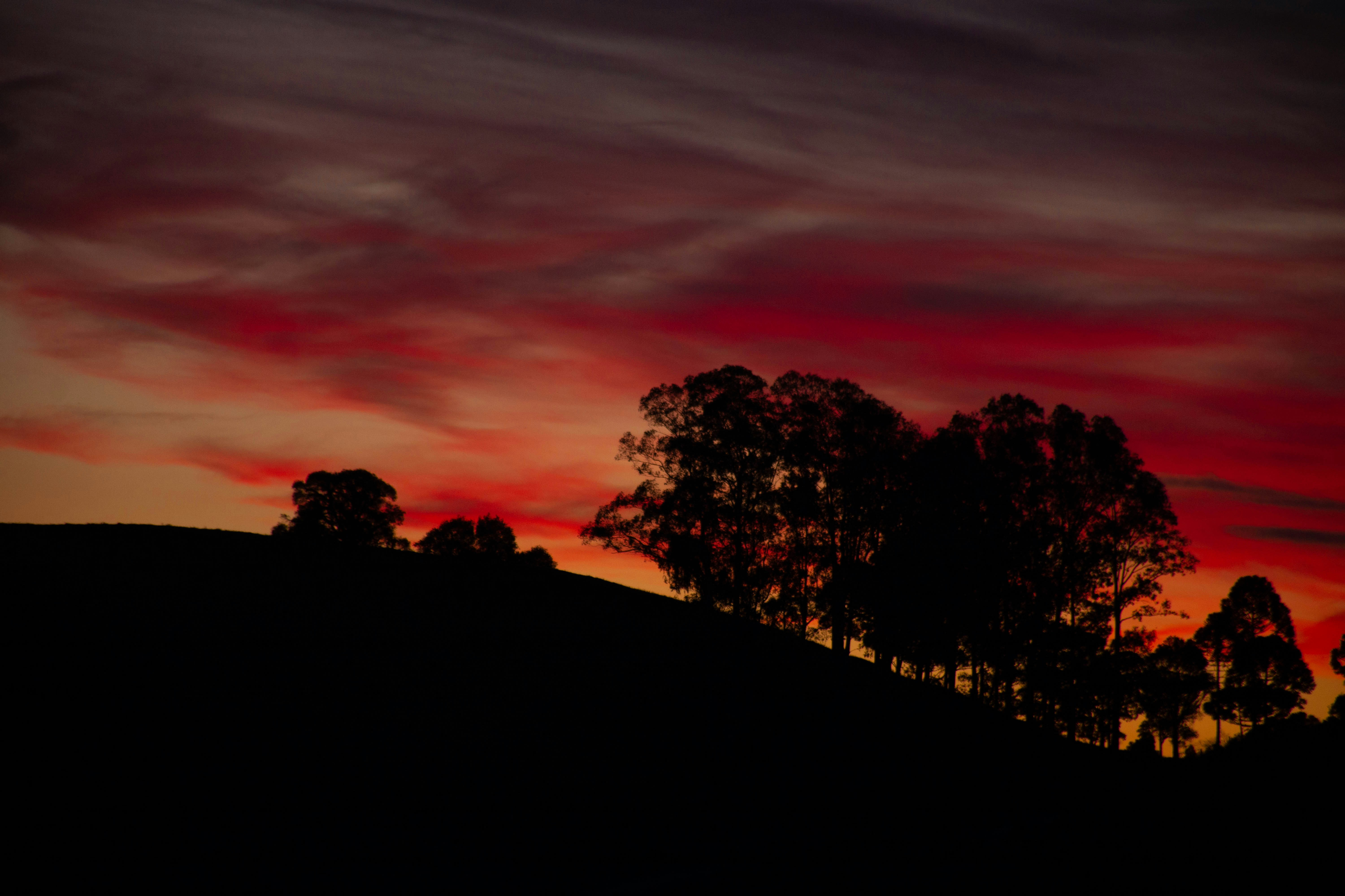 Photo by lucasgwendt