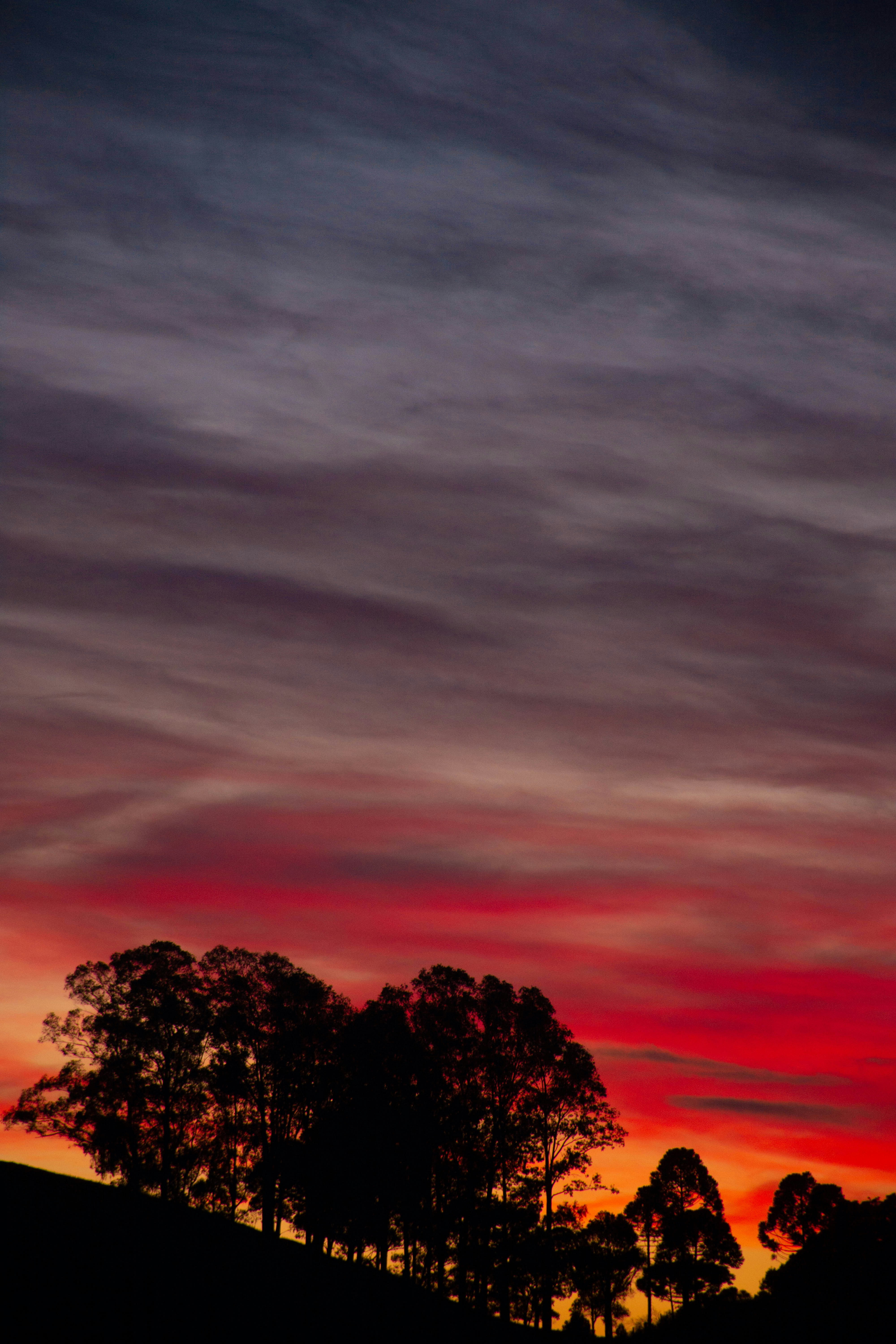 Photo by lucasgwendt