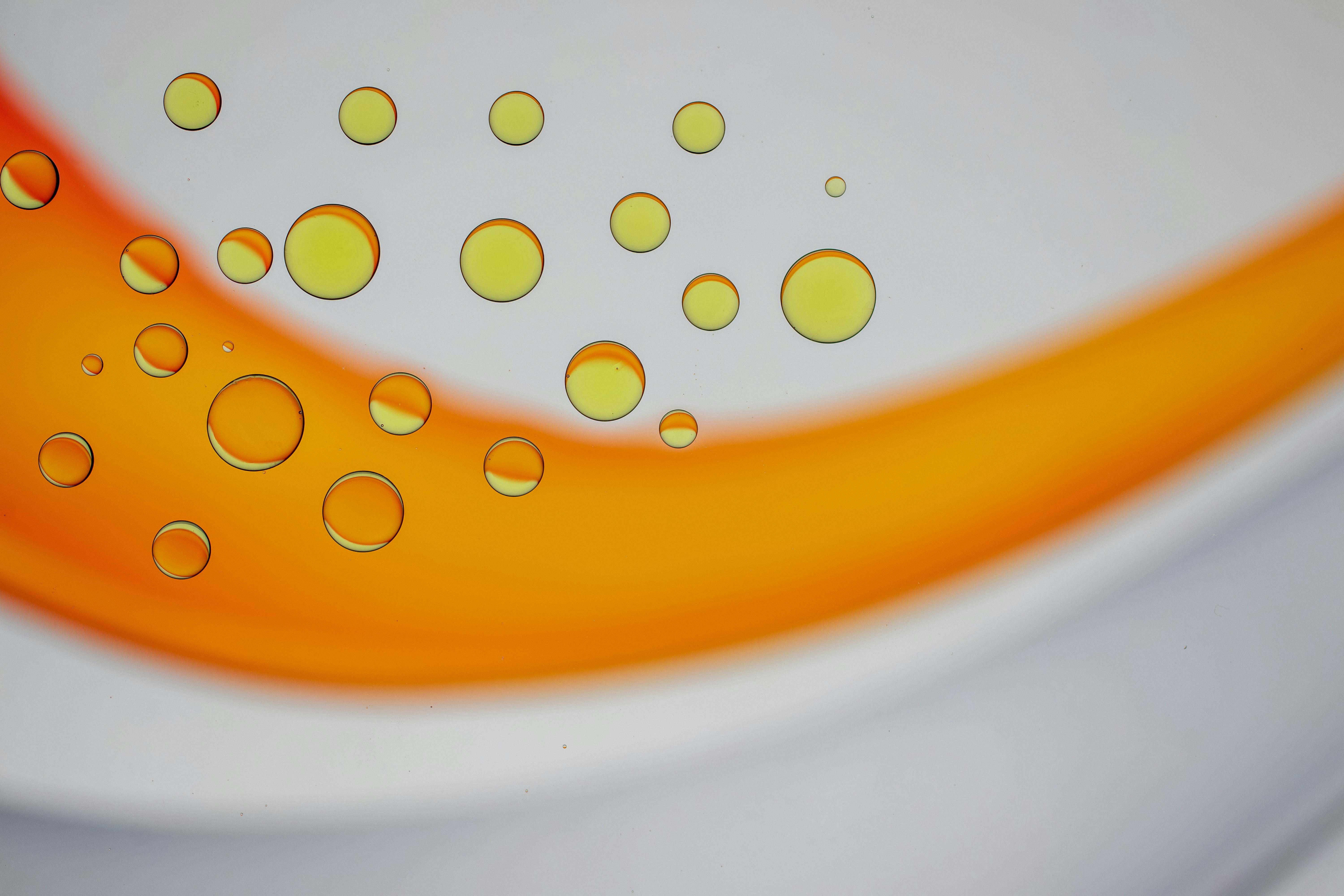 Photo by octopus_photo