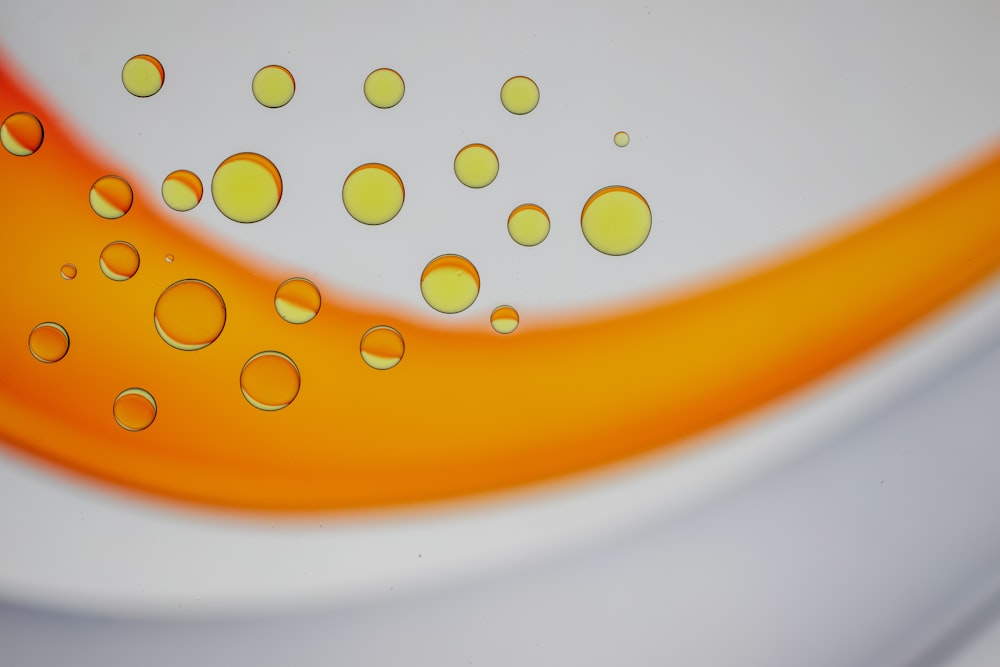 a close up of a white plate with orange and yellow circles