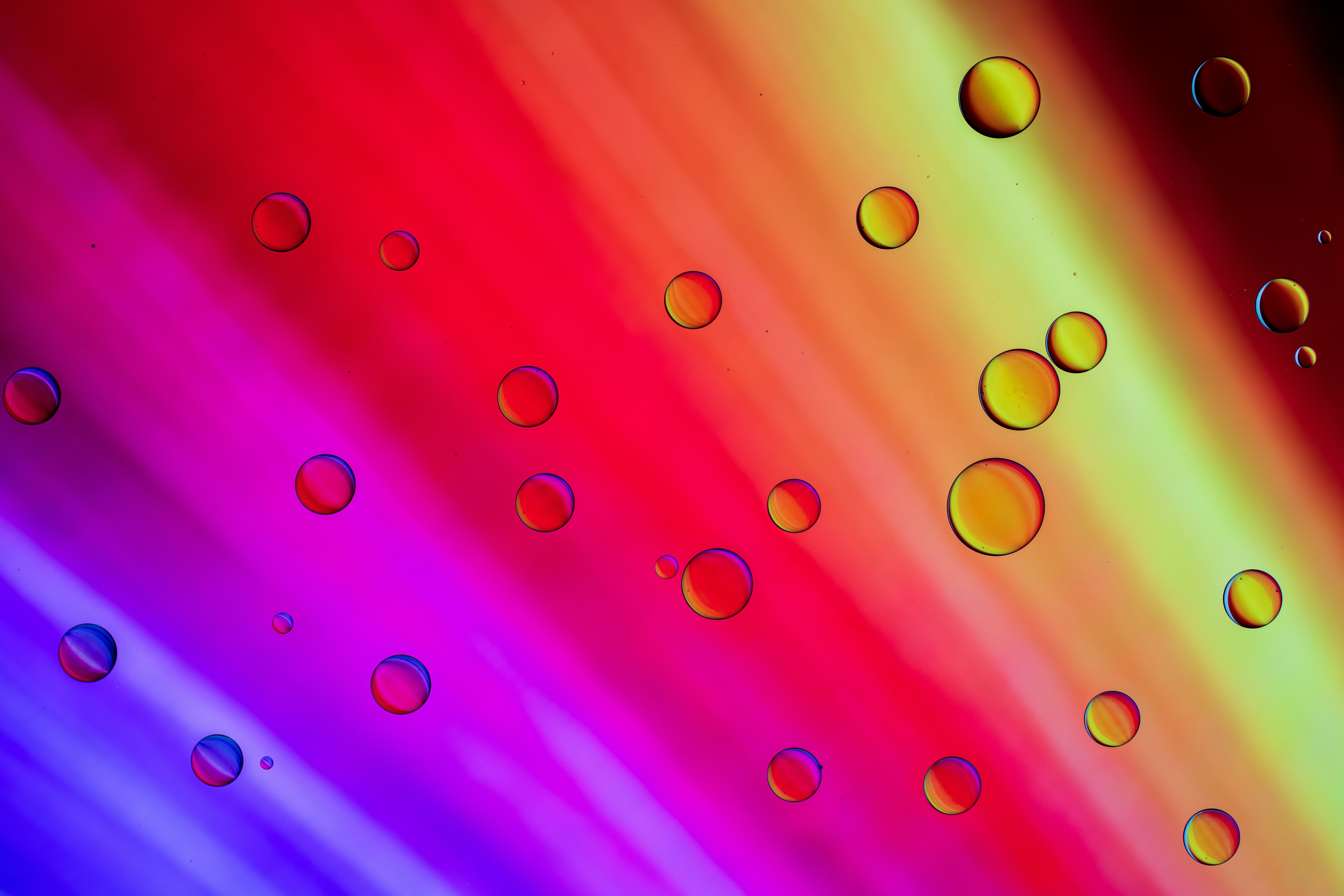 Photo by octopus_photo