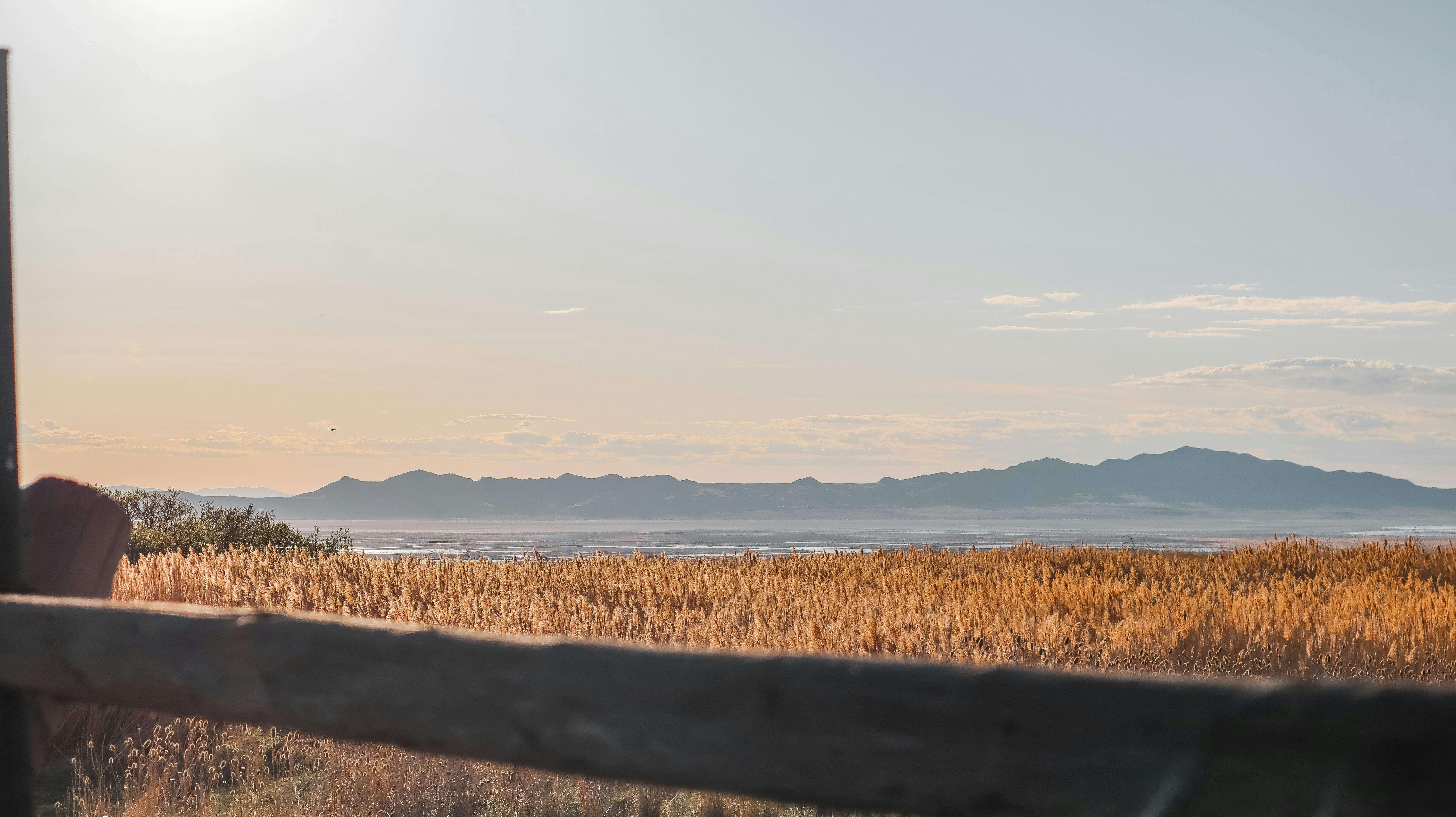 Photo by ethan_gowans