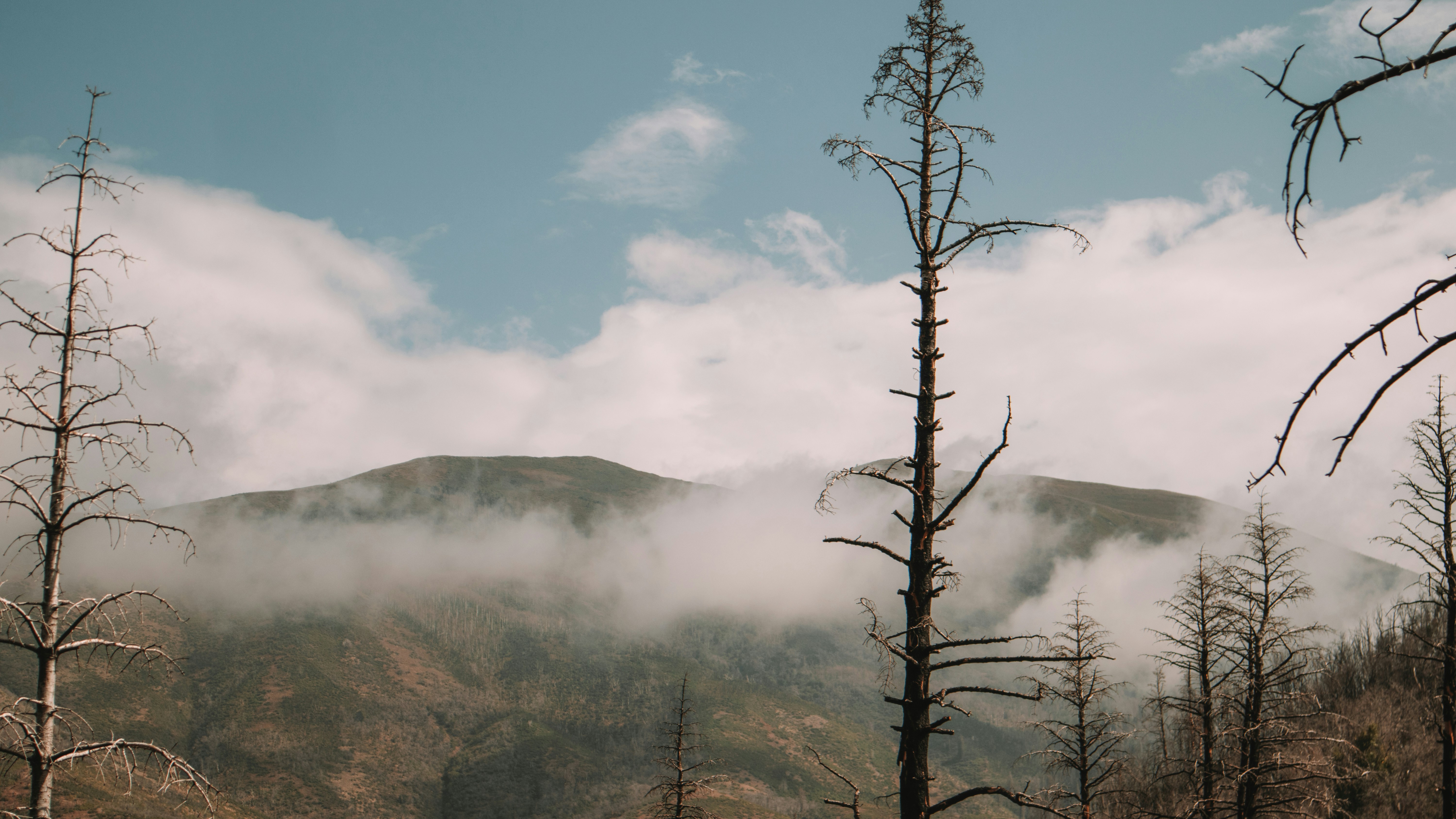 Photo by ethan_gowans