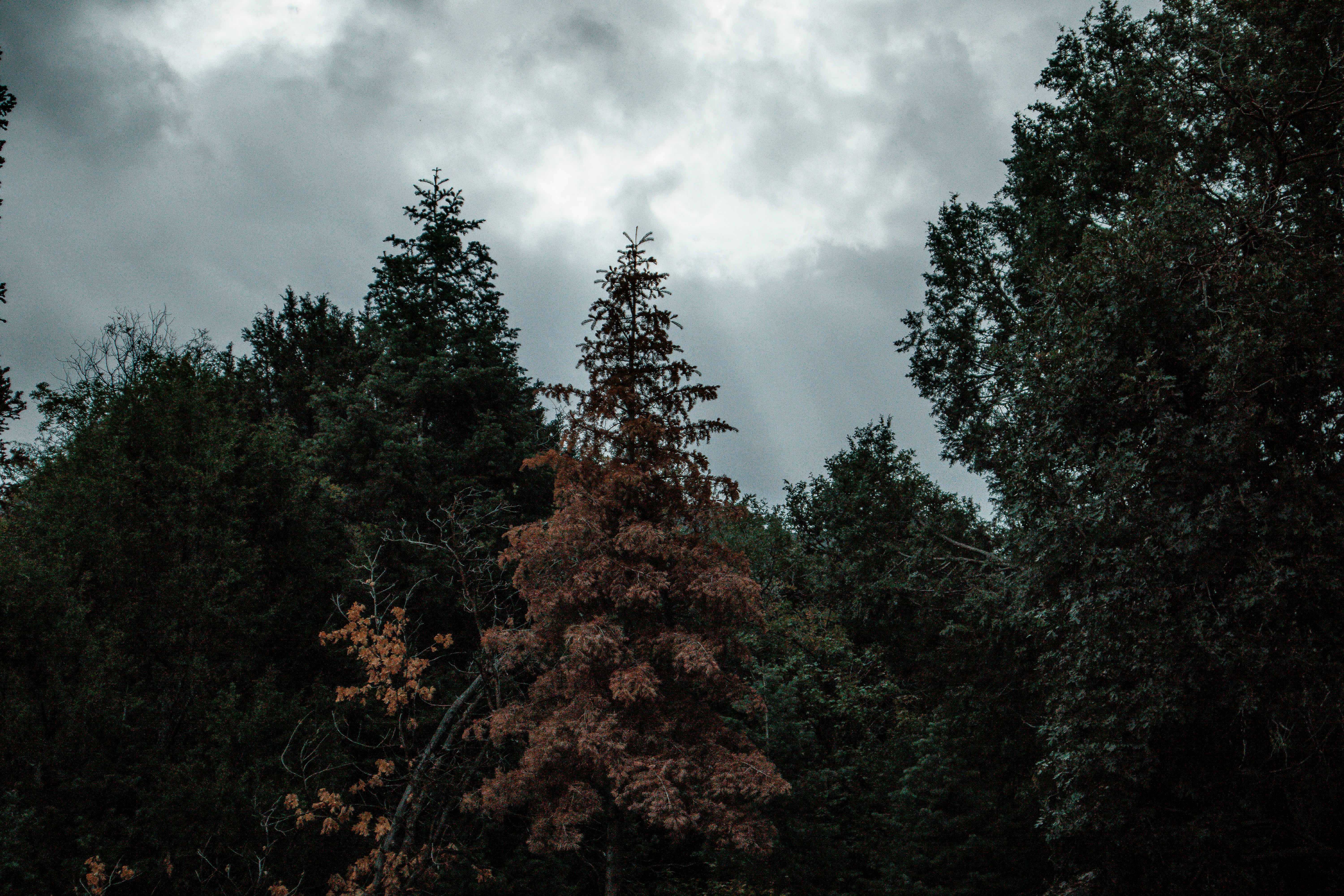 Photo by ethan_gowans