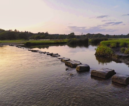 a line of stepping stones sitting in the middle of a river