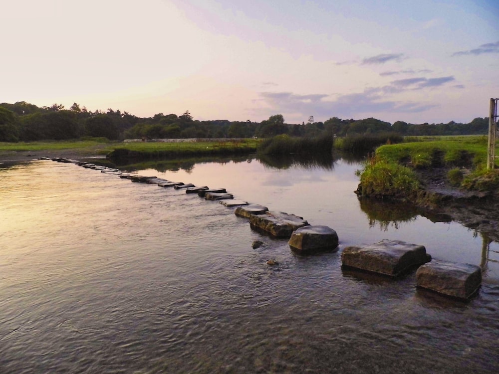 a line of stepping stones sitting in the middle of a river