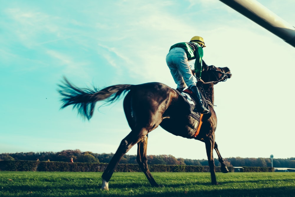 Un jockey chevauchant un cheval dans un champ herbeux