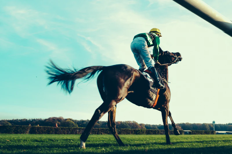Horse Racing