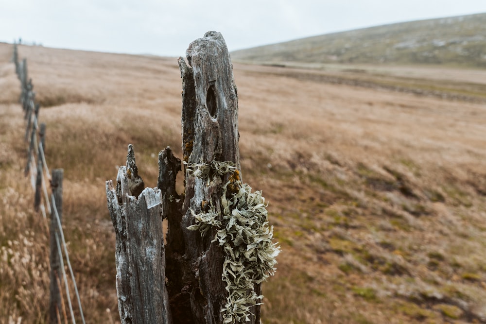 a wooden fence in a grassy field with a hill in the background